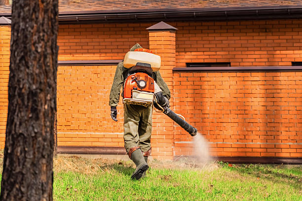 Trusted Mosquito Control service in Chelsea, MA - Nex Pest Control